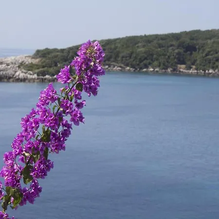 Rose - Romantic Double With Balcony And Sea View No 1