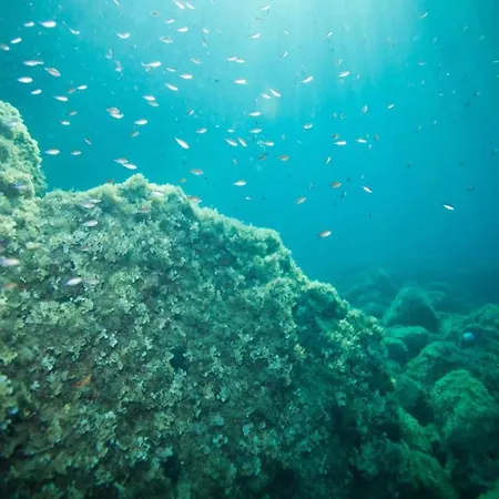 Rose - Romantic Double With Balcony And Sea View No 1 *