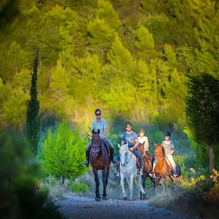 Rose - Romantic Double With Balcony And Sea View No 1 Molunat