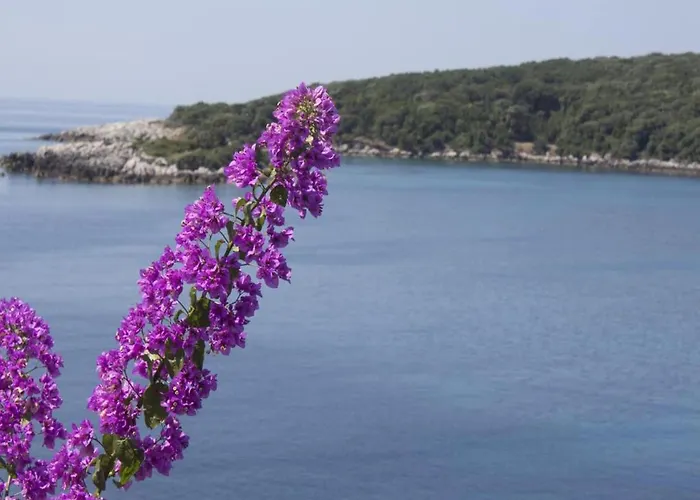 Rose - Romantic Double With Balcony And Sea View No 1