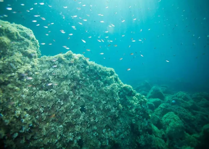 Rose - Romantic Double With Balcony And Sea View No 1 *