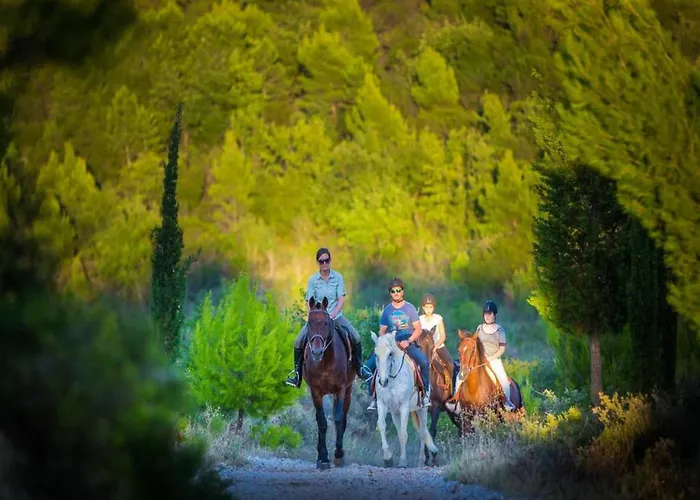 Rose - Romantic Double With Balcony And Sea View No 1 Molunat